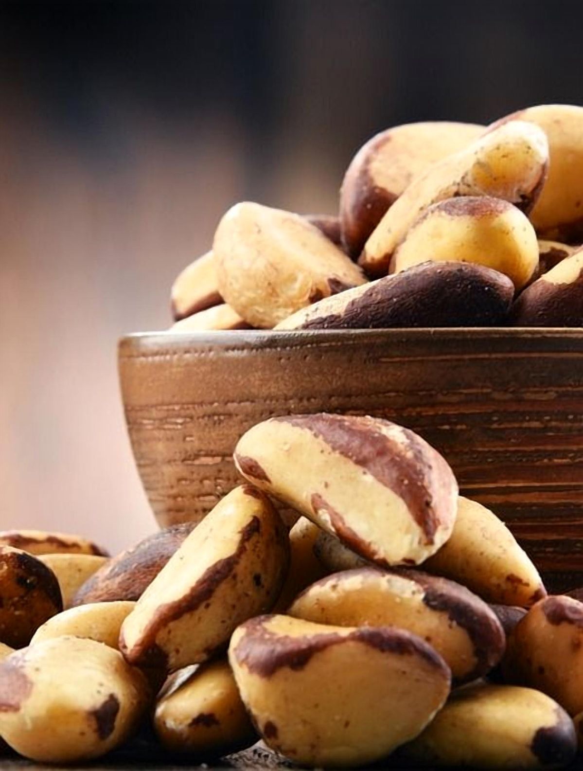 Brazil Nut