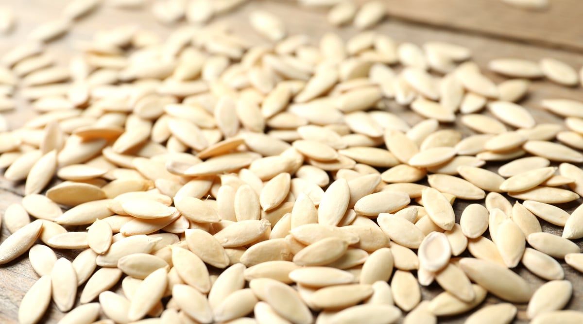 Cucumber seed