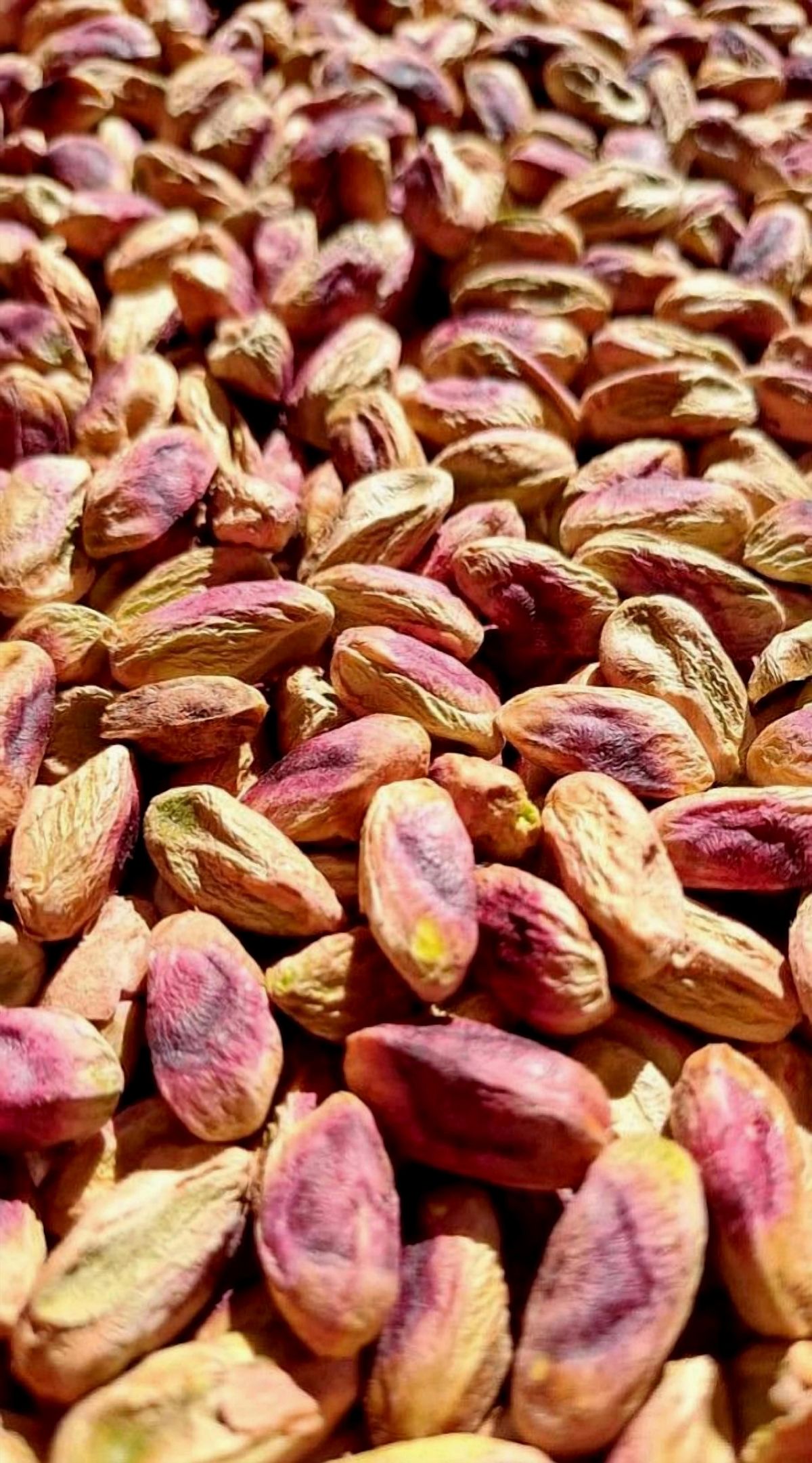 Iranian Plain Pistachio (Shell-less)