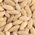 Cucumber seed