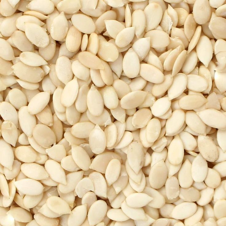 Watermelon Seed