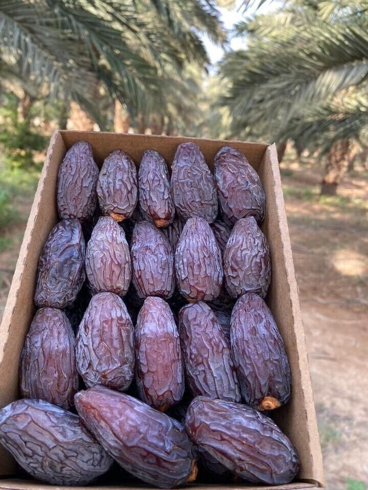 Premium Medjool Dates