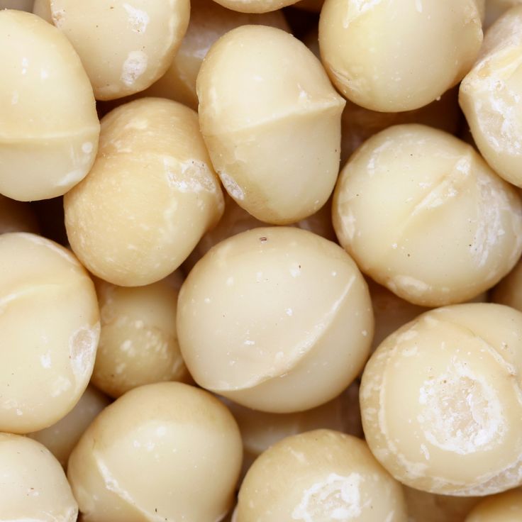 Premium Macadamia Nuts
