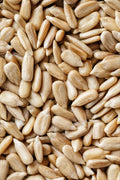 Sunflower Seed
