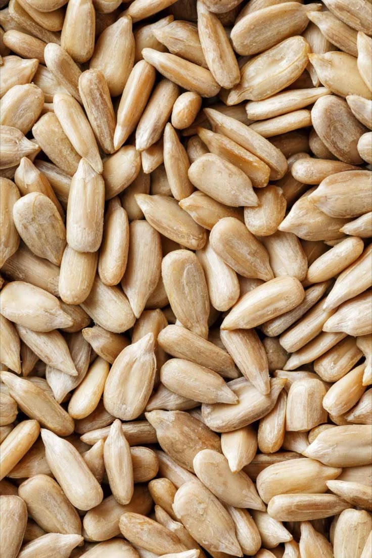Sunflower Seed