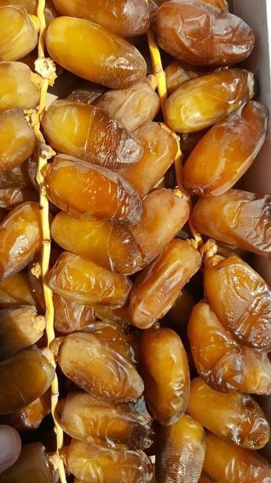 Tunisian dates